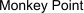 Monkey Point